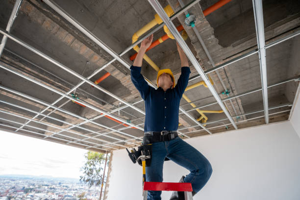 Best Plumbing Services Near Me  in Livingston, AL